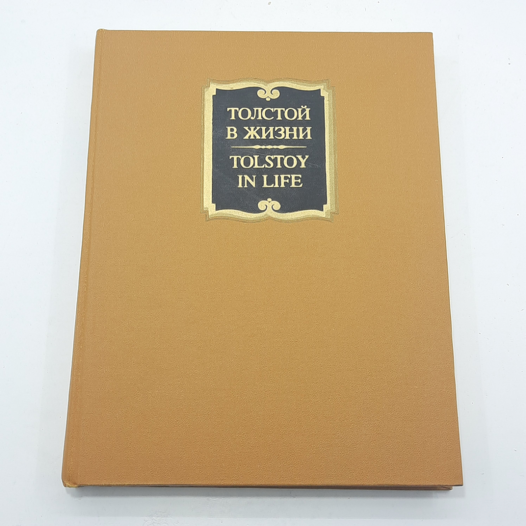 "Толстой в жизни" 1 том. Картинка 1